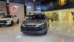 بي واي دي كوين L DM-i